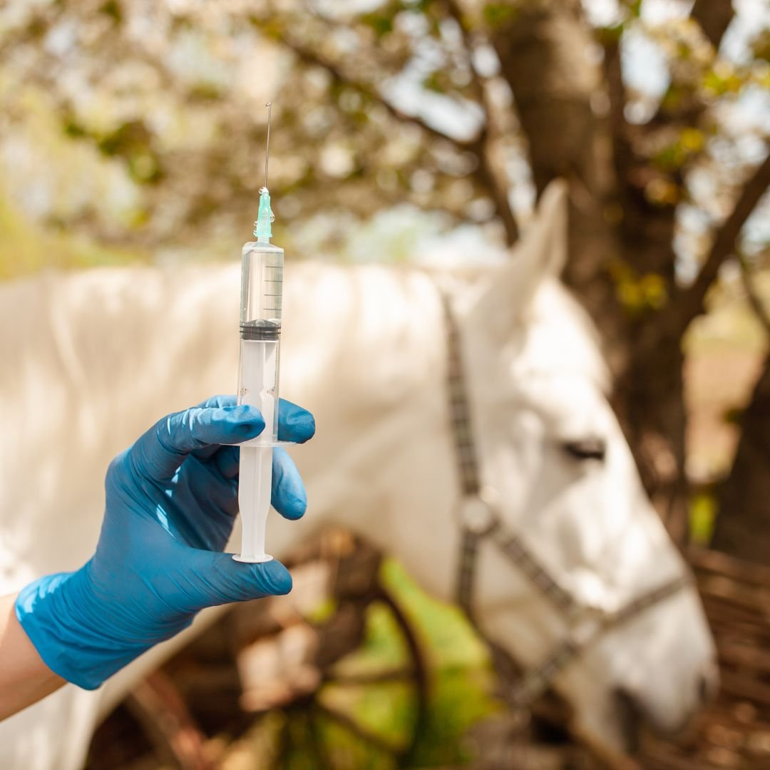 Why AHP Injections Are Trusted by Animal Experts